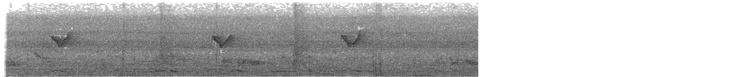 Thick-billed Green-Pigeon - ML616882671