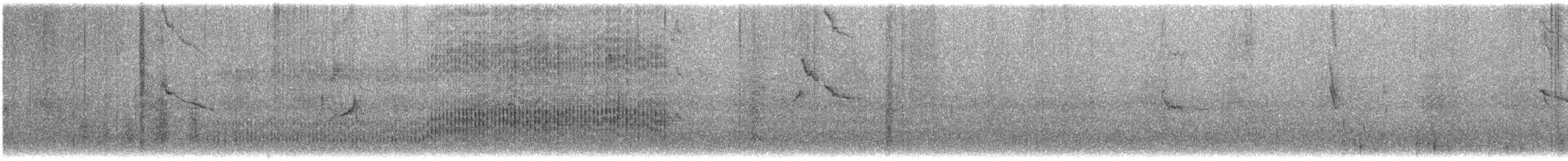 Сизойка чорноголова [група stelleri] - ML616883496