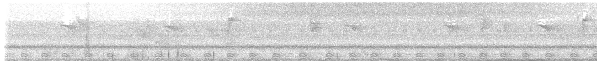 Аспиднохвостый трогон - ML616883714