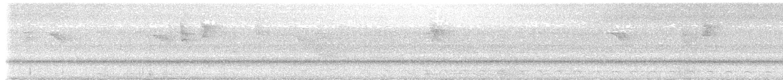 Аспиднохвостый трогон - ML616883715