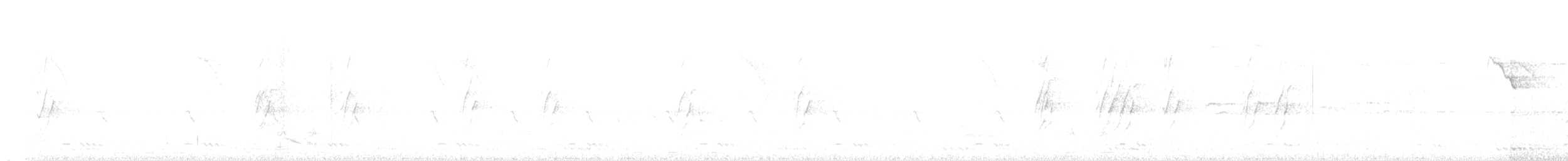 Plum-headed Parakeet - ML616885074