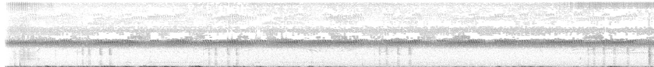 Striped Crake - ML616887147