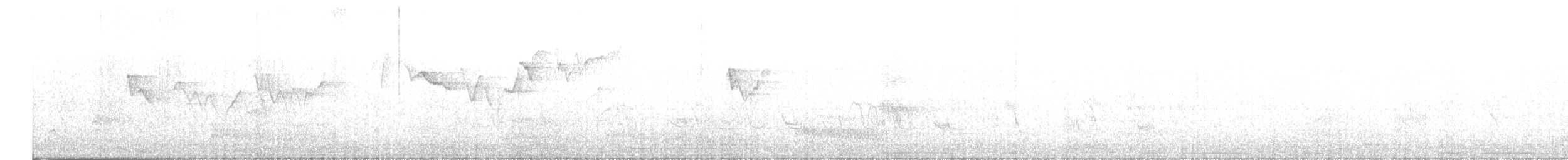Вівчарик лісовий - ML616888571