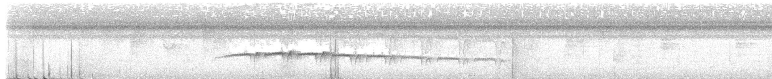 Мурав’янка-куцохвіст плямиста - ML616889418