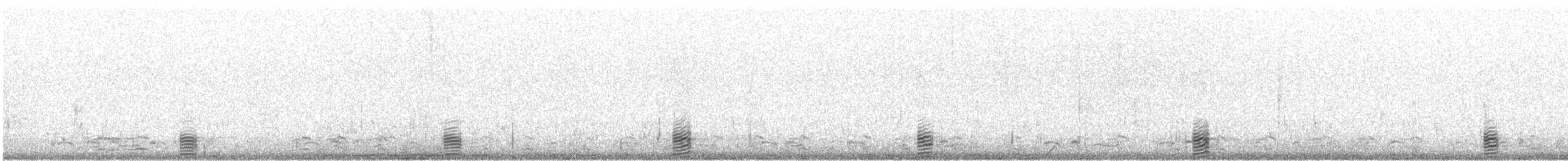 黑雁(nigricans) - ML616894015