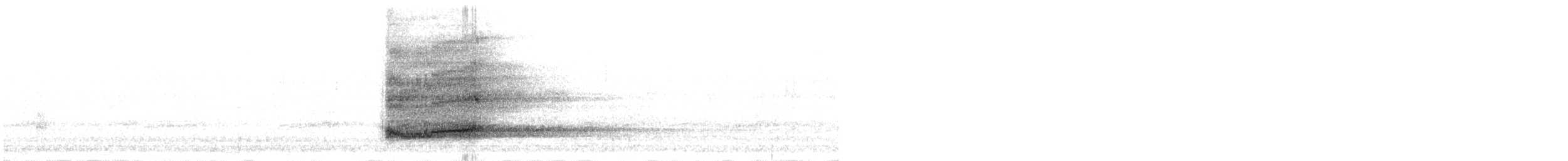 American Barn Owl - ML616896858