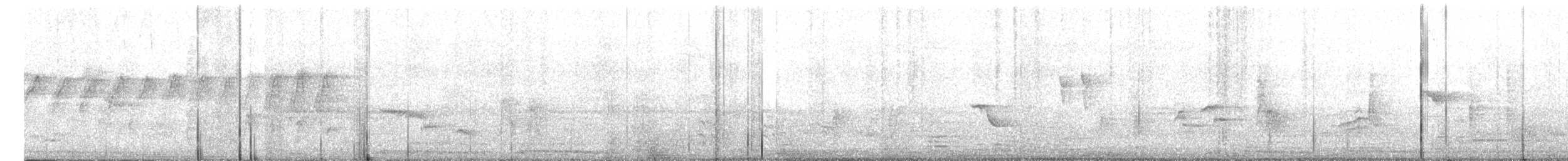 Large-billed Reed Warbler - ML616898740
