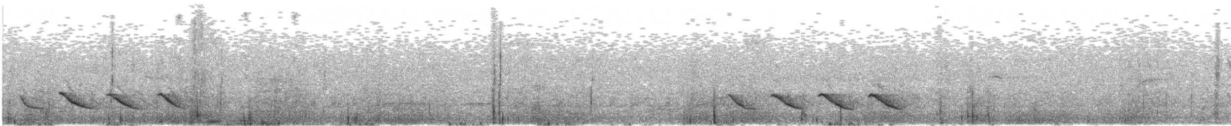 Paradoxornis fléché - ML616898823