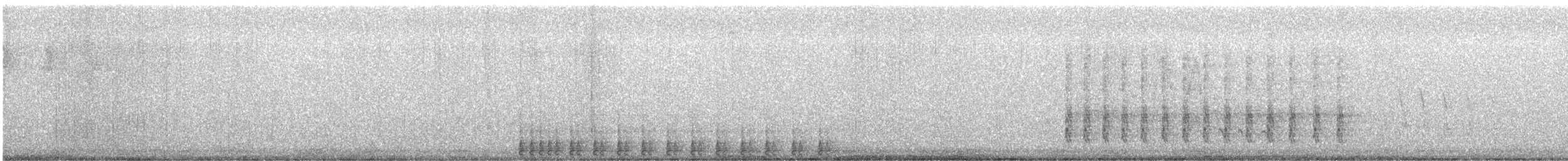 Дятел-смоктун білочеревий - ML616901736