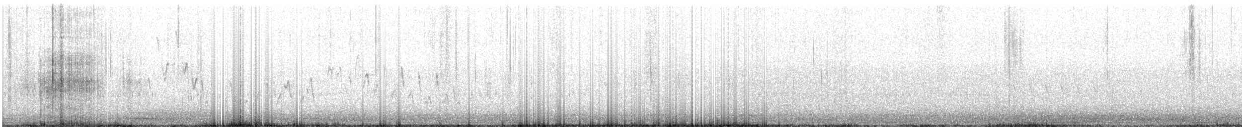 Northern House Wren - ML616906569