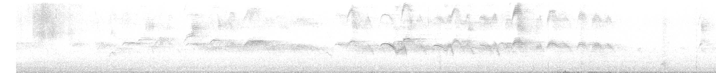 Серпокрилець блідий - ML616910712
