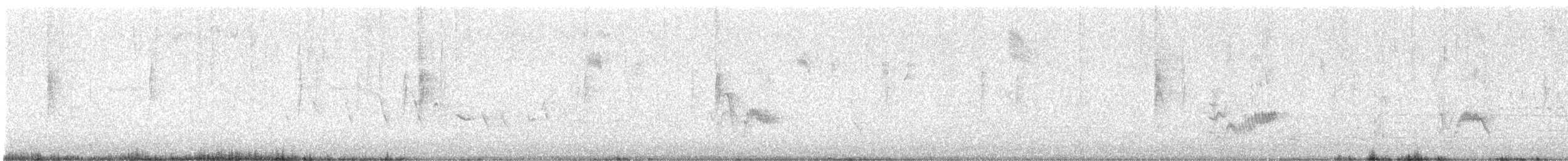 Cassin's Vireo - ML616916451