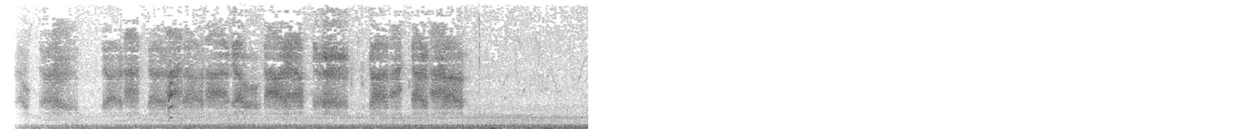 ヨコジマサボテンミソサザイ - ML616916659