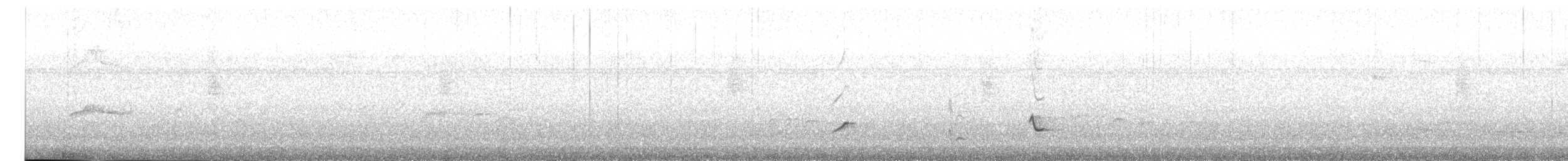 Black-striped Sparrow - ML616918492