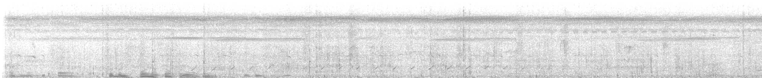 Поплітник плямистий - ML616919091
