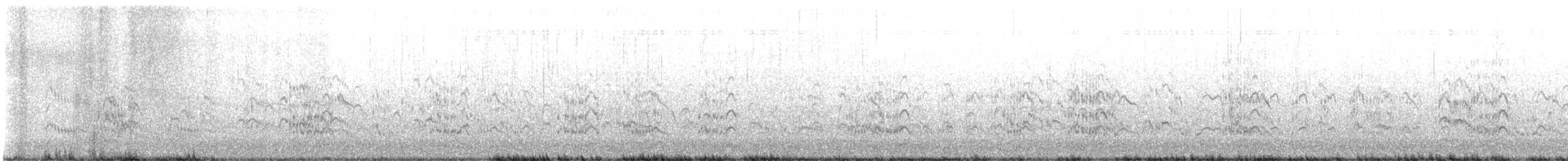 Royal Tern - ML616922028