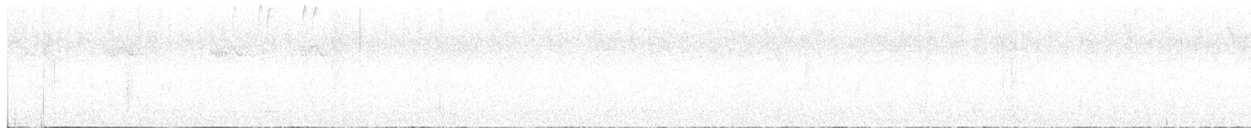 maoriflueskvett (macrocephala gr.) - ML616924497