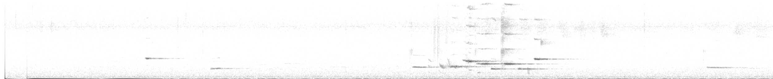 Méliphage carillonneur - ML616925352