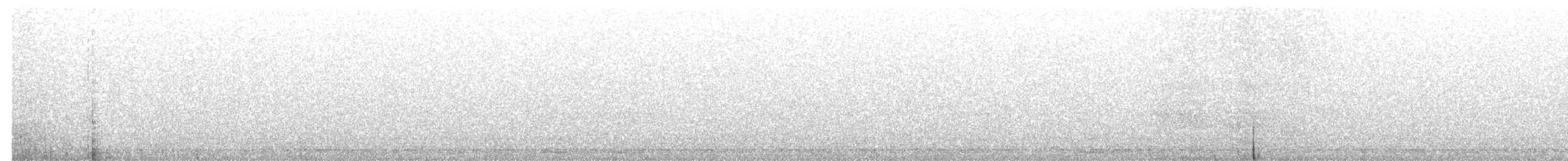 Сова-голконіг австралійська - ML616927017