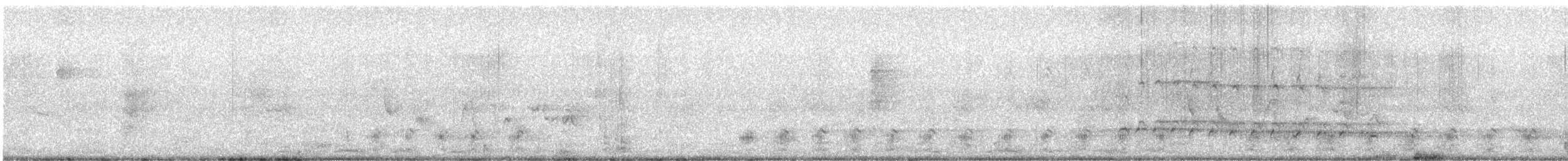 チュウシャクシギ（variegatus） - ML616927110