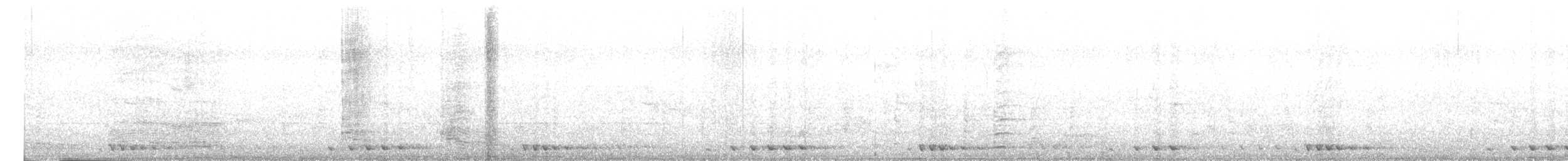 barbet tchajwanský - ML616930026