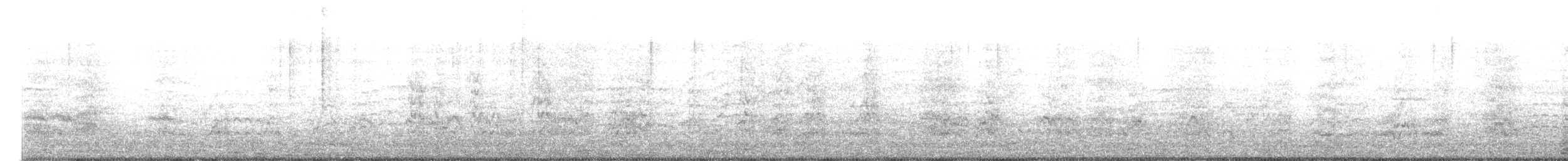 Conure magellanique - ML616935629