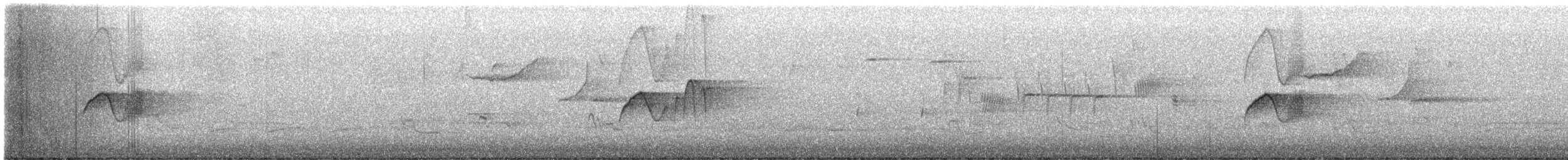 Светлобрюхий фиби - ML616935758