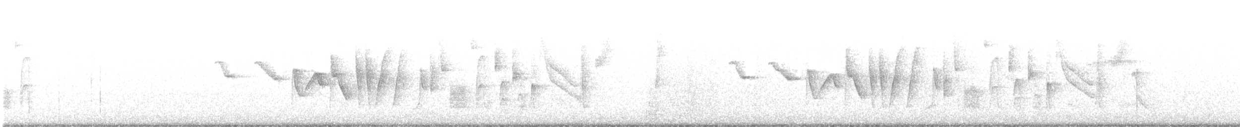Трясогузковый певун - ML616937095