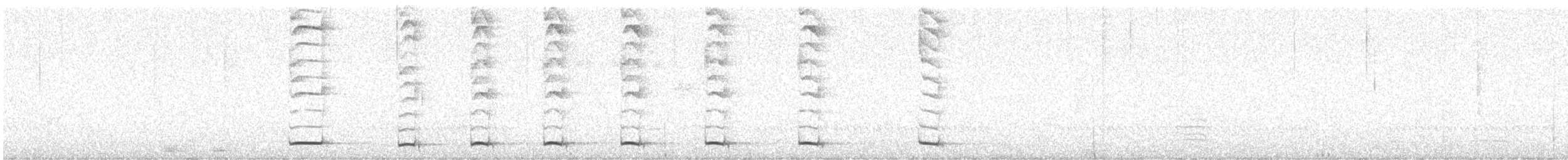 Blassschnabel-Ameisenpitta - ML616937400