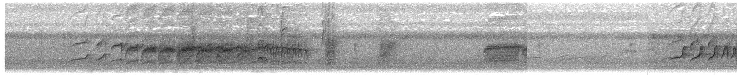 Weißkehl-Ameisenvogel - ML616938126