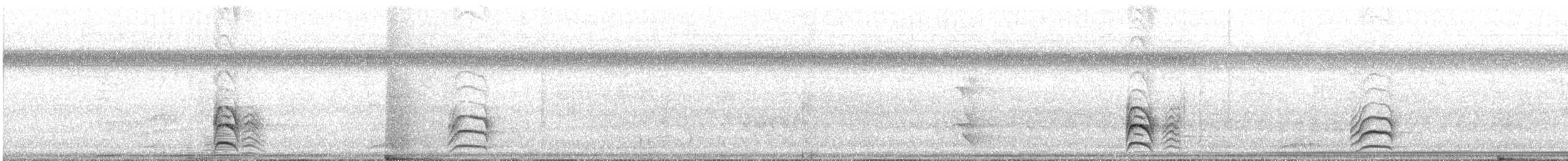 Гвианская иглохвостка - ML616939505