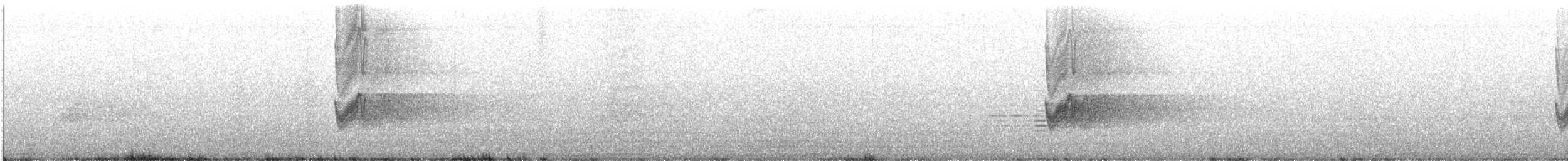 シロアゴヨタカ（monticolus グループ） - ML616941094