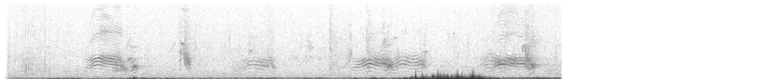 edelglansstær - ML616944401