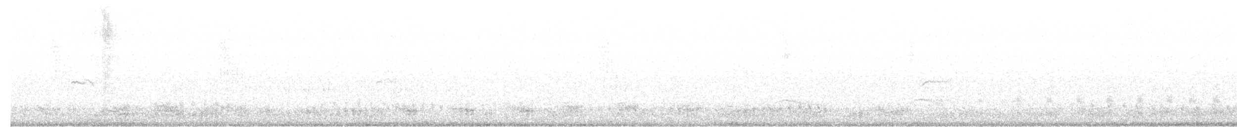 gransanger (tristis) (sibirgransanger) - ML616945331