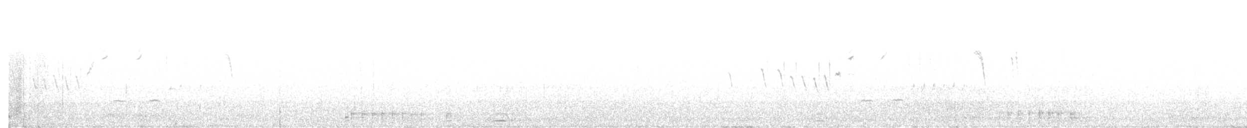 Cuervo Grande - ML616947060