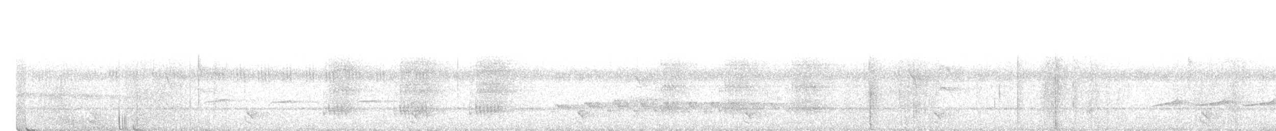 Perlschulter-Ameisenwürger - ML616948686