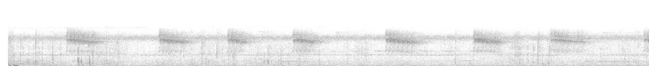 Dreibinden-Ameisenvogel - ML616948924