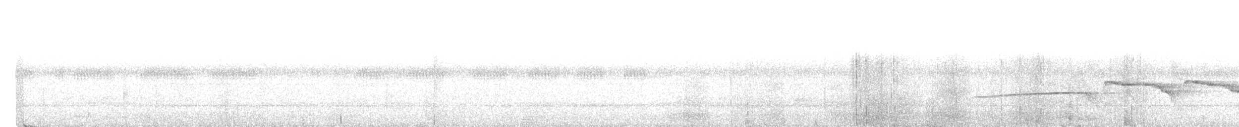 Rostbauch-Ameisenvogel - ML616949115
