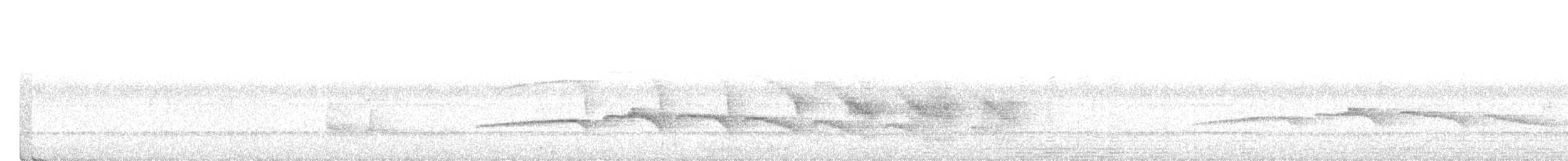 Fourmilier à huppe marron - ML616949200