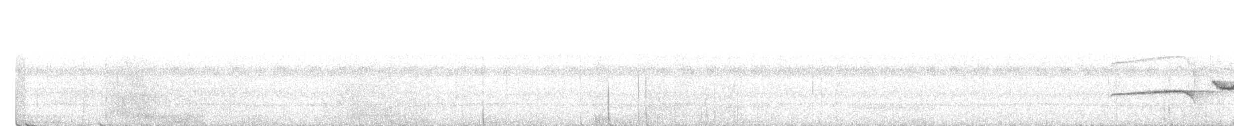 Rostbauch-Ameisenvogel - ML616951770