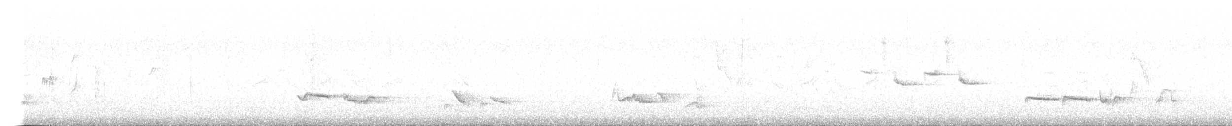 drozd brávník - ML616952534