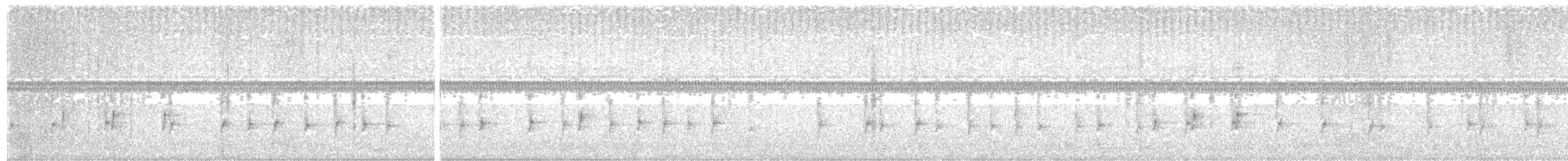 Kulaklı Küçük Tiran - ML616952632