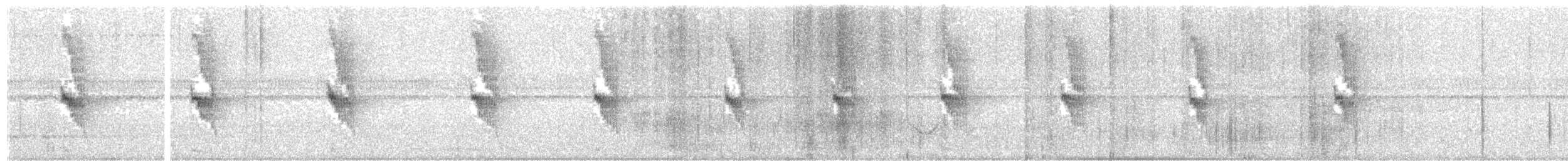 Dusky-tailed Antbird - ML616952649