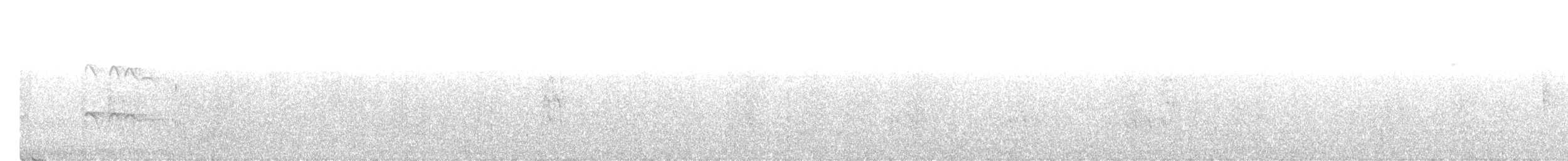 Plumbeous Kite - ML616952711