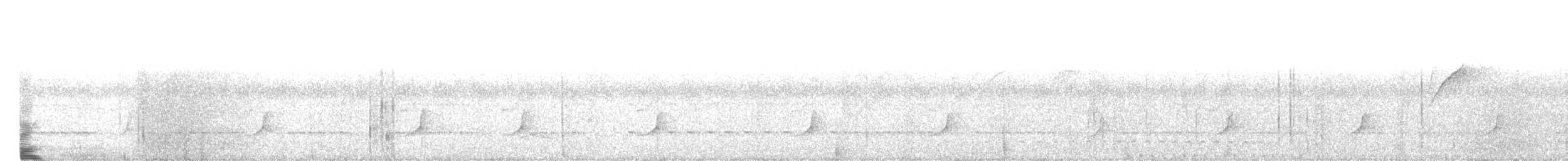 Schlankfuß-Kleintyrann - ML616952800