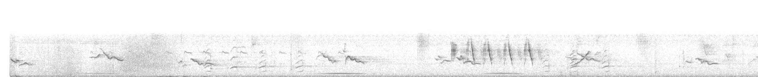 Зернолуск великий - ML616952874