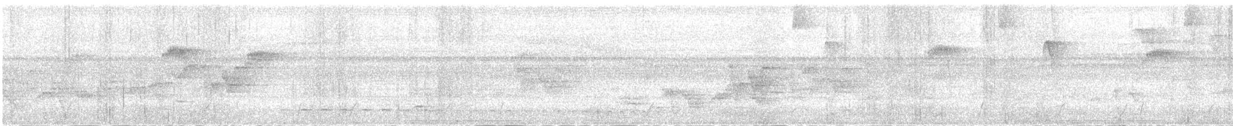 Olivgrau-Ameisenvogel - ML616954834