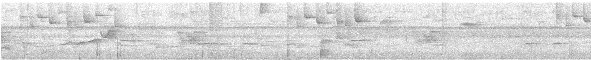 Дрізд-короткодзьоб Cвенсона - ML616955071