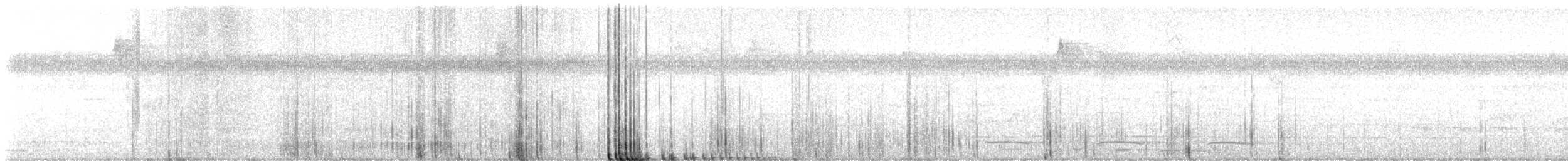 holub krátkozobý - ML616955206