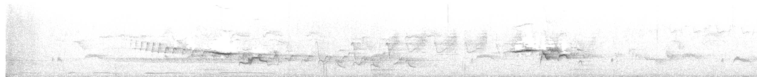 Дрізд-короткодзьоб плямистоволий - ML616957296